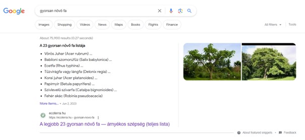seo trend